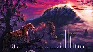 PLS&TY - Run Wild | 1 HOUR