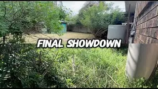 FINAL DAY: Wild Overgrown Backyard Transformation &ndash; Roots, Snakes & Indiana Jones Action! MUST SEE