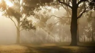 Deep Baritone Country - The Morning Sun (Relaxing Acoustic)