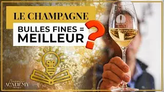 Champagne : fines bulles = meilleur vin ? 🥂 La vérité sur ce qu’on voit dans le verre