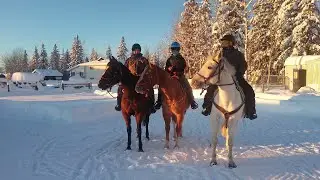 Рождественский день, декабрь 25 2025