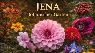 Der Botanischer Garten in Jena || Oktober 2025 || @Its.Sarah.99 