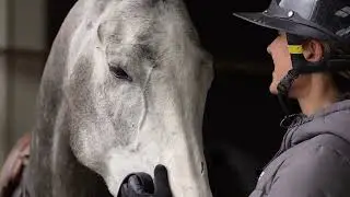 Athlete Media | Equine Videography