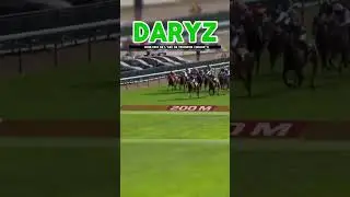 🟢DARYZ - Wins The 2️⃣0️⃣2️⃣5️⃣ Prix De l'Arc de Triomphe, MINNIE HAUK in 2nd