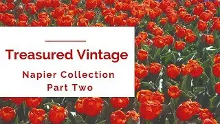 Treasured Vintage Napier Collection Part 2