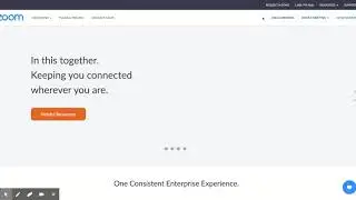 Zoom Fix for Browser