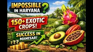 Haryana Mein 150+ Crops | Manesar Ka Exotic Farming Model #krishiparivar #raviwadhwa #manesar