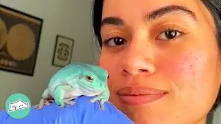 These Frogs Scare People, But Girl Can&rsquo;t Stop Kissing Them | Cuddle Buddies