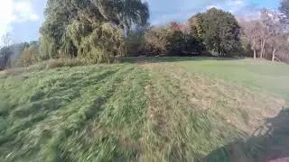 backyard riding
