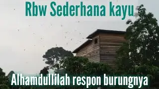 Mantaaaap...!! RBW dari kayu Burungnya Banyak