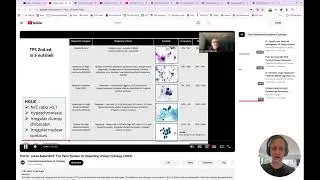 Cyto Search Engine