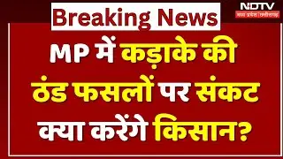 MP Weather Alert: कड़ाके की ठंड फसलों पर संकट, क्या करेंगे किसान?| Farmers | Cold Wave | Winter | MP