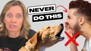 The BIGGEST Mistake People Make When Their Dog Barks