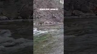 Lansing NY 1-17-26 #water #stream #explore #shorts #nature  #naturelovers #outdoors #watersounds  2