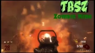 A little bit about me. The BS Zombie