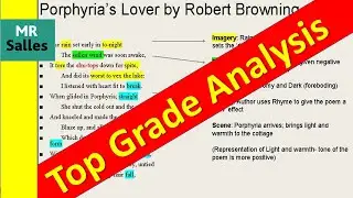Анализ высшего качества «Любовника Порфирии» (г-н Саллес)