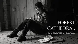 Forest Cathedral | NVW