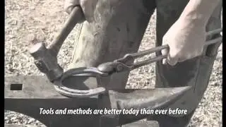 Hoofcare Today - Episode 13 - Who Causes Lameness