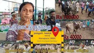 மணப்பாறை மாட்டு சந்தை / Bull market in manaparai
