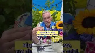 Німецький дизайнер одягу Френк Вайлд | German fashion designer Frank Wilde