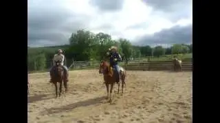 Le Cheval Western, Stage avec Fred Roux pr&eacute;paration au tri de b&eacute;tail