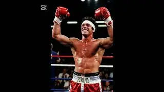 Rocky Balboa the fighter and champion of life. Be inspired by his quotes. 