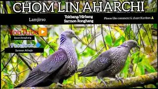 Chomlin Aharchi 🥺 ||&bull;Karbi Lamjirso new Viral Short Poem 
