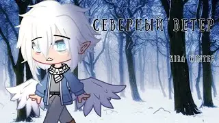 Северный ветер Kira Winter
