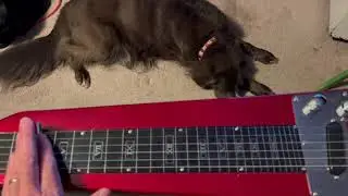 Rogue RLS-1 lap steel guitar in progressive jazz tune by Kevin Pike