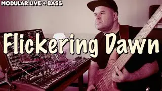 Real Bassist - 