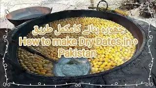 Nar Nur Chuara Dry Dates From Pakistan Manufacturing process