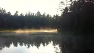 Mist Over Water