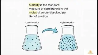 The Mole Concept | Molarity | Molar Mass | Calculations | Stoichimetry | Basic Chemistry