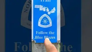 Follow the blue blazes for the North Country Trail. #northcountrytrail #hiking #upperpeninsula
