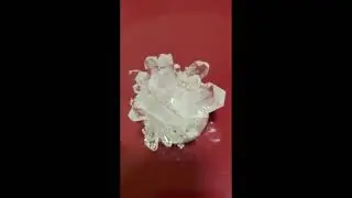 Crystal Growing Experiment