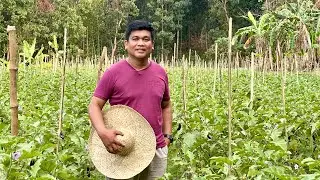 Discipline sa Barko, Aplicable sa Farming: Bata pa Preparing na for Retirement