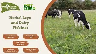 Herbal Leys and Dairy Webinar