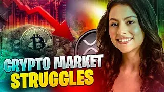 BITCOIN SLIPS BELOW MAJOR LEVEL! EMERGENCY MARKET REVIEW