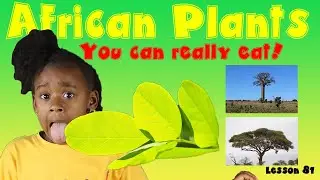 African Plants You Can Really Eat! Edible Plants and Trees | Kids Black History