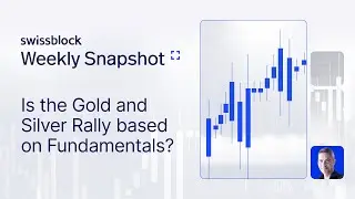 Chart of the week ep. 26: Is the Gold and Silver Rally based on Fundamentals?