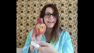 Axis Scientific Heart Model Unboxing and Review