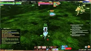 Archeage hacker.