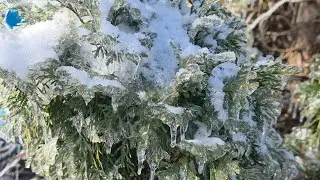 Could someone come get Elsa?