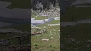 Kund Banda Kumrat valley  #naturalbeauty #travel #kumratvalley #travelwithwaleed #nature #viral