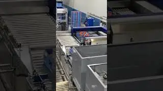 Automated palletizer top down infeed