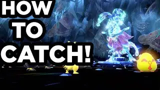 HOW TO CATCH PARADOX SUICUNE!!!