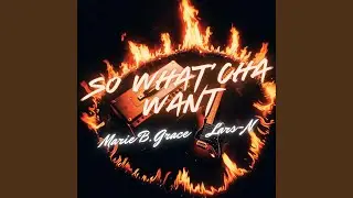 SO WHAT' CHA WHANT (feat. LARS-N) (Special Version)