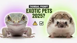 Why Exotic Pets Are Booming in 2025 &mdash; Should You Get a Gecko or Hedgehog?