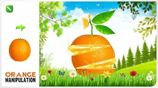 Nature Photo Manipulation Speed Art | Photo Manipulation Fruit Slice