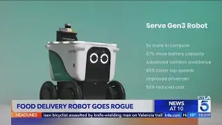Food delivery robot goes rogue